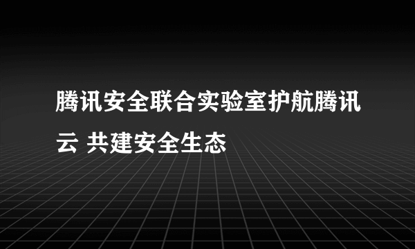 腾讯安全联合实验室护航腾讯云 共建安全生态