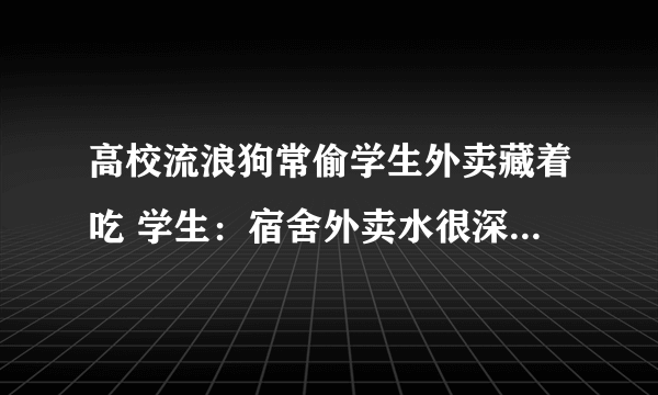 高校流浪狗常偷学生外卖藏着吃 学生：宿舍外卖水很深你把握不住