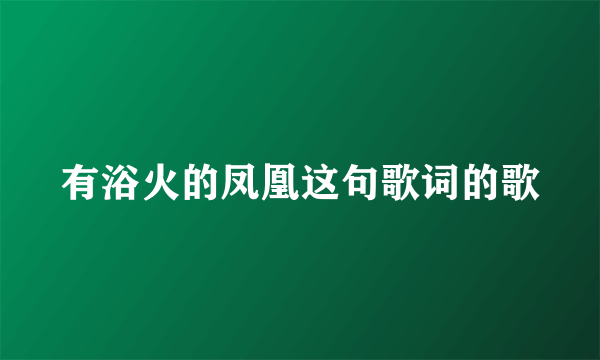 有浴火的凤凰这句歌词的歌