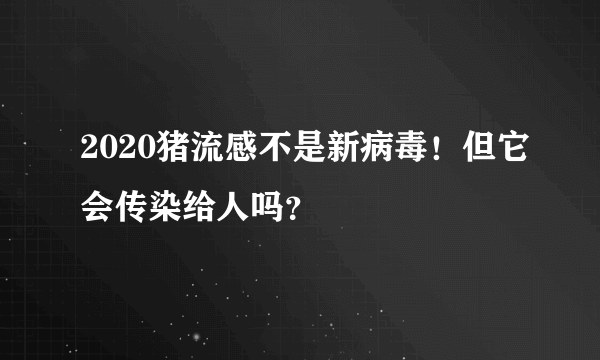 2020猪流感不是新病毒！但它会传染给人吗？