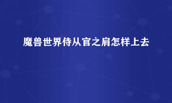 魔兽世界侍从官之肩怎样上去