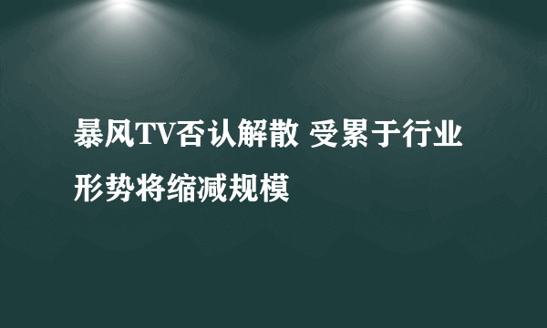 暴风TV否认解散 受累于行业形势将缩减规模