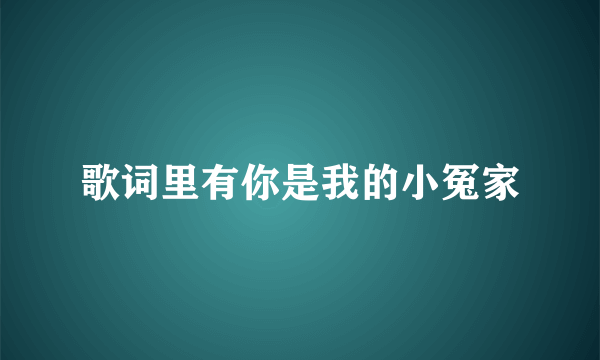 歌词里有你是我的小冤家