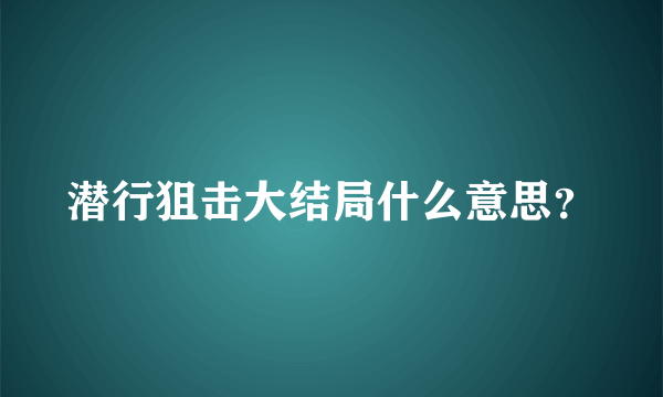 潜行狙击大结局什么意思？