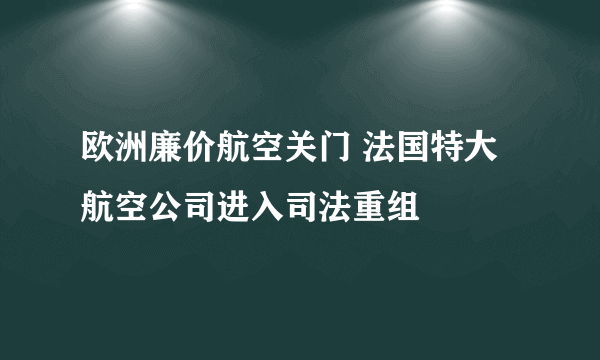 欧洲廉价航空关门 法国特大航空公司进入司法重组