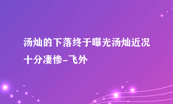 汤灿的下落终于曝光汤灿近况十分凄惨-飞外