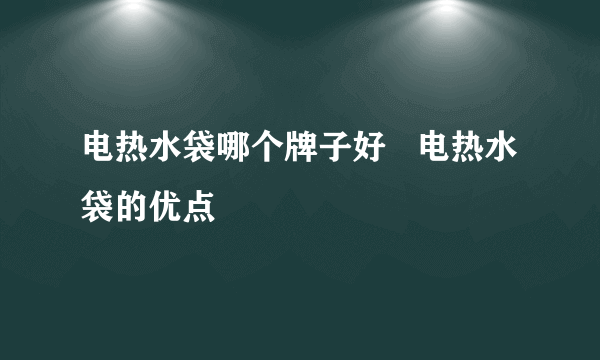 电热水袋哪个牌子好   电热水袋的优点