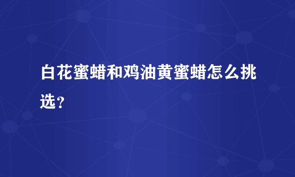 白花蜜蜡和鸡油黄蜜蜡怎么挑选？