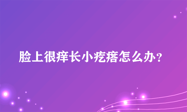 脸上很痒长小疙瘩怎么办？