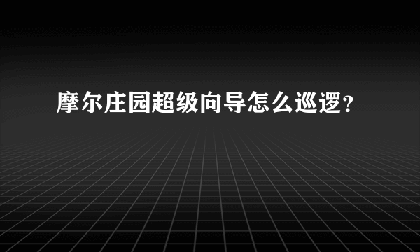 摩尔庄园超级向导怎么巡逻？