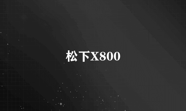 松下X800