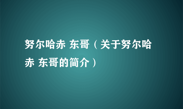 努尔哈赤 东哥（关于努尔哈赤 东哥的简介）