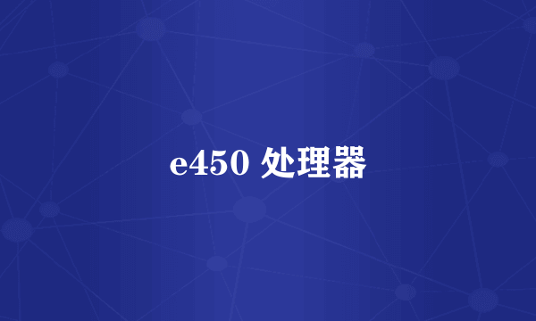 e450 处理器