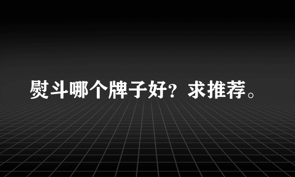 熨斗哪个牌子好？求推荐。