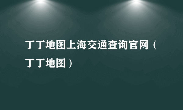 丁丁地图上海交通查询官网（丁丁地图）