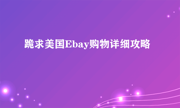 跪求美国Ebay购物详细攻略