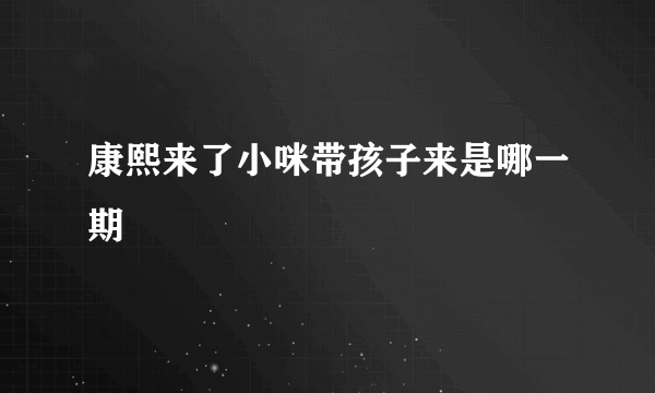 康熙来了小咪带孩子来是哪一期