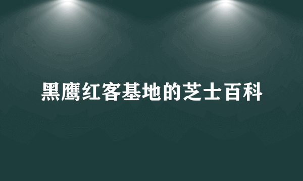 黑鹰红客基地的芝士百科