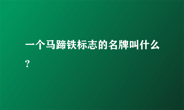 一个马蹄铁标志的名牌叫什么？