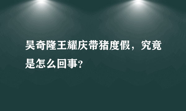 吴奇隆王耀庆带猪度假，究竟是怎么回事？