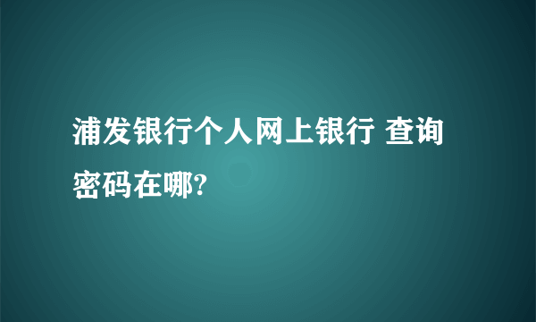 浦发银行个人网上银行 查询密码在哪?