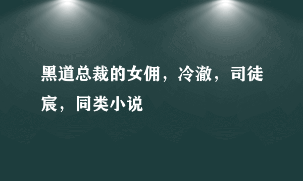 黑道总裁的女佣，冷澈，司徒宸，同类小说