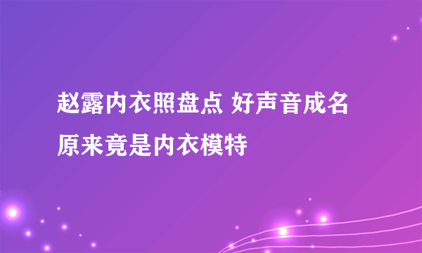 赵露内衣照盘点 好声音成名原来竟是内衣模特