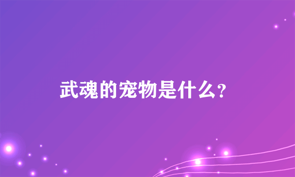 武魂的宠物是什么？