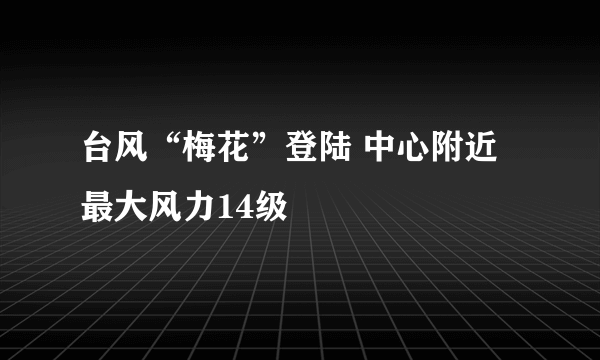 台风“梅花”登陆 中心附近最大风力14级