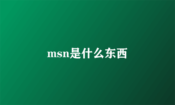 msn是什么东西