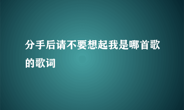 分手后请不要想起我是哪首歌的歌词