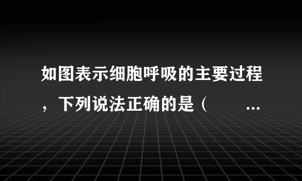 如图表示细胞呼吸的主要过程，下列说法正确的是（　　）A. 破伤风杆菌和大肠杆菌能进行过程①②B. 过程①②③④都能在植物细胞中发生C. 人体中进行过程②的场所是线粒体内膜D. 过程①②只能在有氧条件下进行