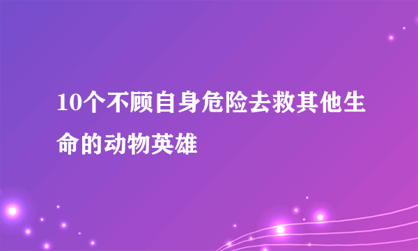 10个不顾自身危险去救其他生命的动物英雄