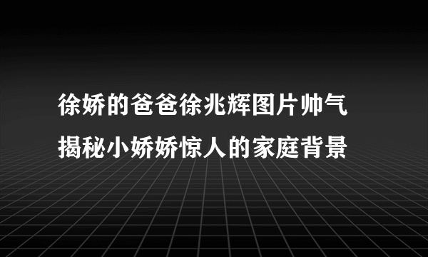 徐娇的爸爸徐兆辉图片帅气 揭秘小娇娇惊人的家庭背景