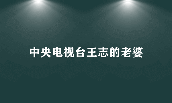 中央电视台王志的老婆