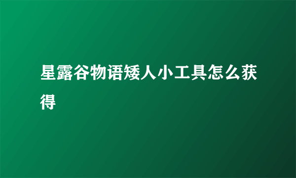 星露谷物语矮人小工具怎么获得