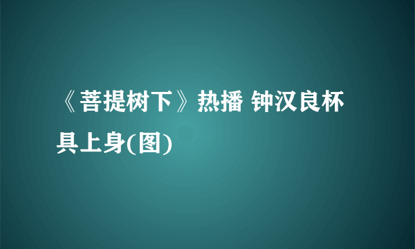 《菩提树下》热播 钟汉良杯具上身(图)