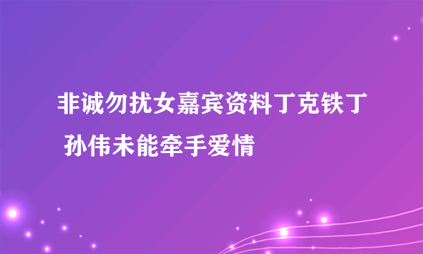 非诚勿扰女嘉宾资料丁克铁丁 孙伟未能牵手爱情