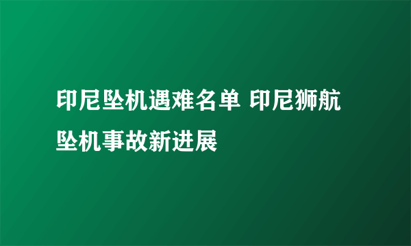 印尼坠机遇难名单 印尼狮航坠机事故新进展