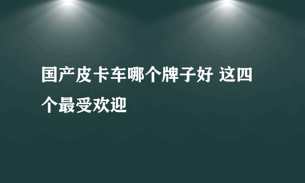 国产皮卡车哪个牌子好 这四个最受欢迎