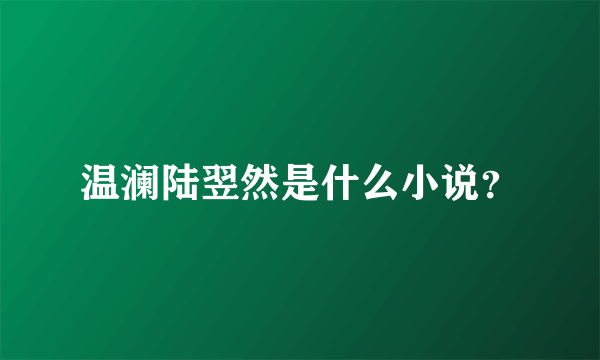 温澜陆翌然是什么小说？