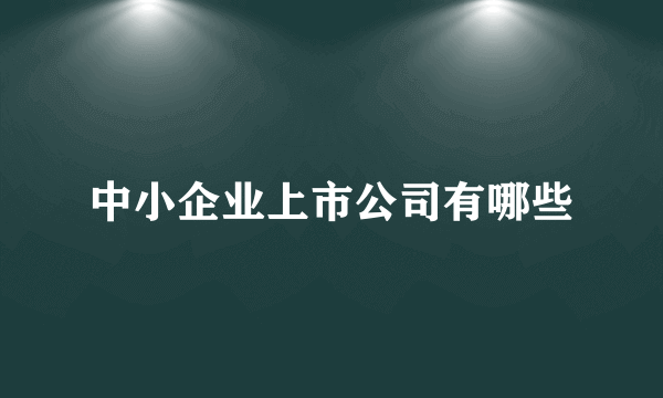 中小企业上市公司有哪些