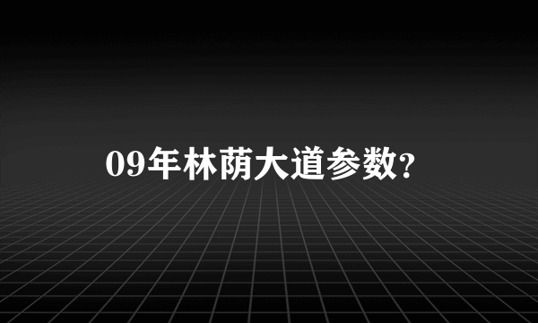 09年林荫大道参数？