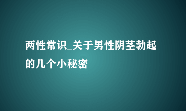 两性常识_关于男性阴茎勃起的几个小秘密