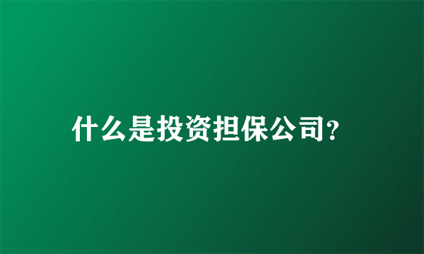 什么是投资担保公司？