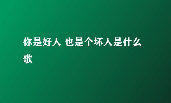 你是好人 也是个坏人是什么歌