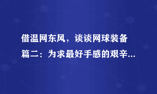 借温网东风，谈谈网球装备 篇二：为求最好手感的艰辛路---网球拍之Babolat PD和Yonex Ezone Ai