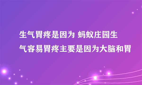 生气胃疼是因为 蚂蚁庄园生气容易胃疼主要是因为大脑和胃