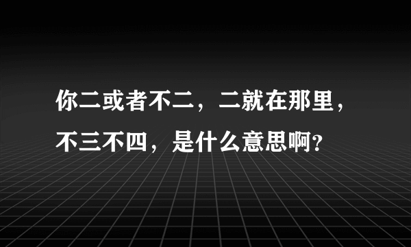 你二或者不二，二就在那里，不三不四，是什么意思啊？