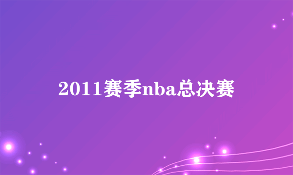 2011赛季nba总决赛